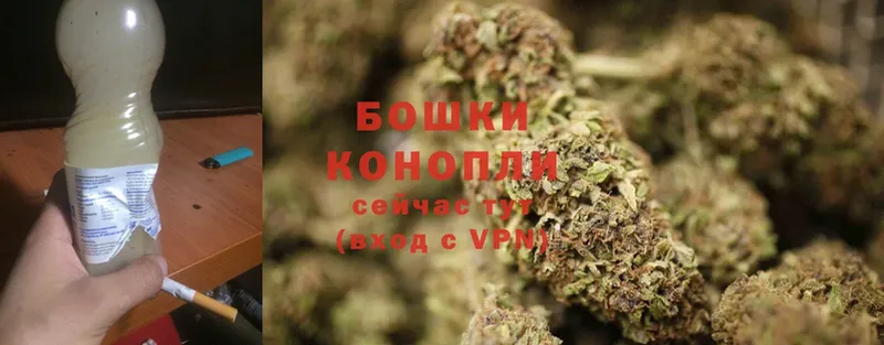 МАРИХУАНА White Widow  продажа наркотиков  hydra ССЫЛКА  Лихославль 